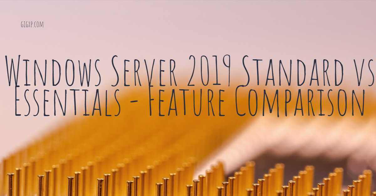 Windows Server 2019 Standard vs Essentials - Feature Comparison