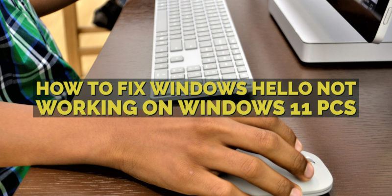 How to Fix Windows Hello not Working on Windows 11 PCs