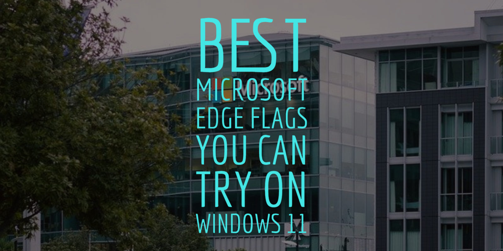 Microsoft Edge flags you can try on Windows 11
