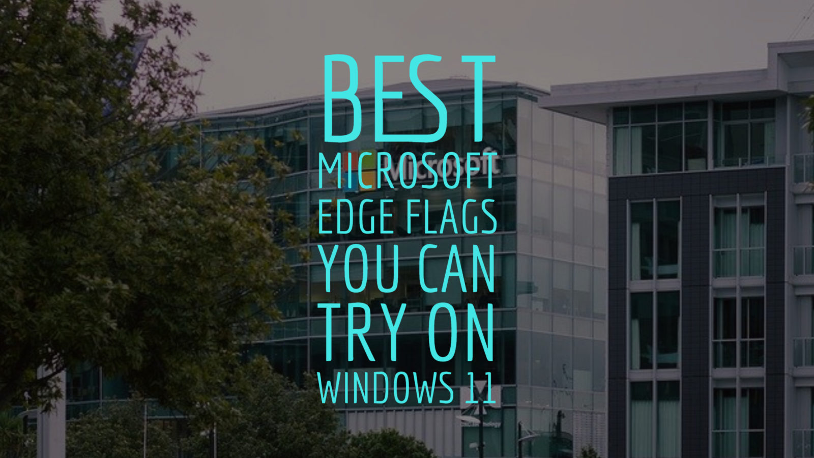Best Microsoft Edge flags you can try on Windows 11